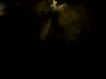 Leeluubabeii  live sex cam