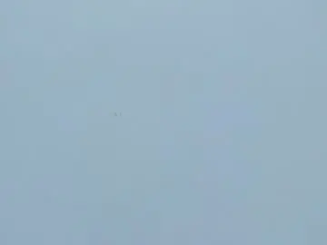 Victoriaroyce1  live sex cam