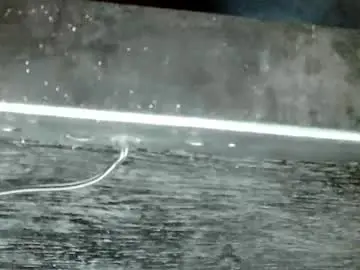 Miss_zephyr  live sex cam