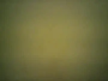 Savagetongu3e  live sex cam