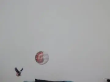 Lorena422  live sex cam