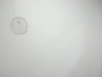 Dahlia_cortes  live sex cam