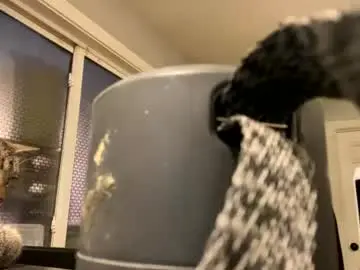 Blanchedevereaux420  live sex cam