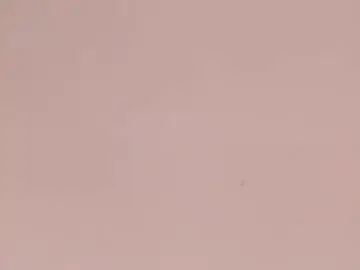 Tammysanz  live sex cam