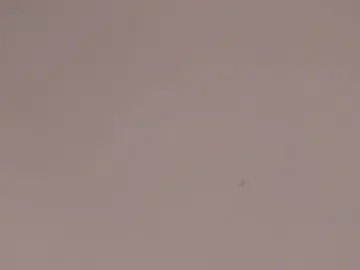 Tammysanz  live sex cam