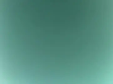 Missvelvetmango  live sex cam