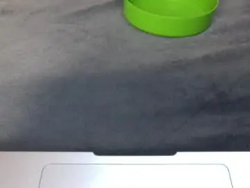 Quinlatifah  live sex cam