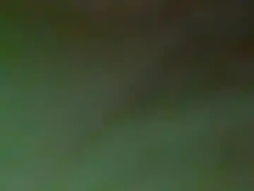 Xo_madeline  live sex cam