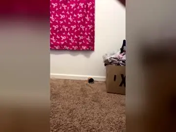Ittybittybay  live sex cam