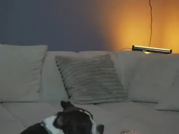 Alfafever  live sex cam