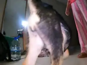 The_pussy_boulevard  live sex cam