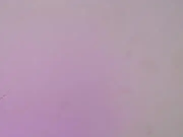 Kitty_nara  live sex cam
