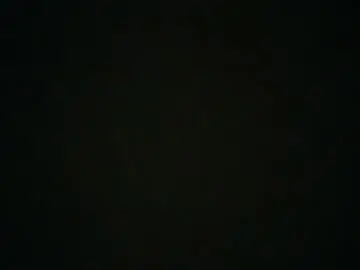 77lilu  live sex cam