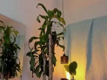 Ariwishes  live sex cam