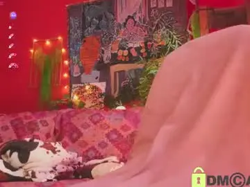 Soft_animal  live sex cam