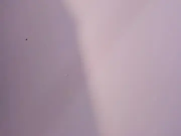 Isa_cortes_  live sex cam