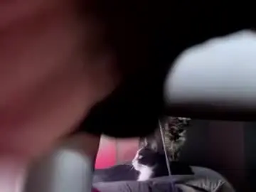 Your_bunny  live sex cam