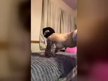 Bhadddb999  live sex cam