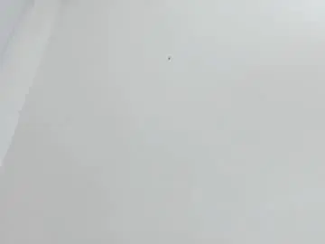 Bellota_flak  live sex cam