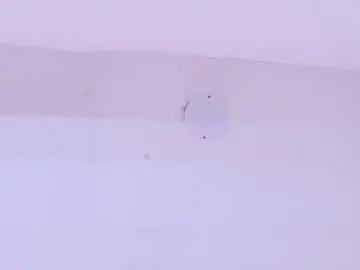 Andreasweet2  live sex cam