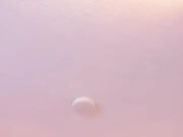 Brittany069  live sex cam