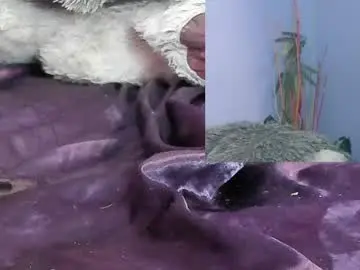 Bellaseduzione  live sex cam