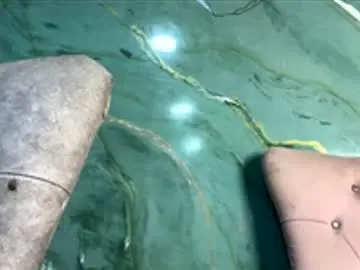 Sexual_addiction  live sex cam