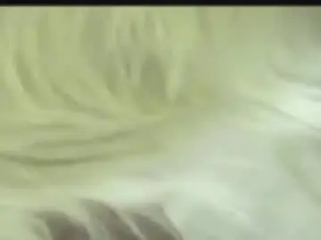 Tititkepf  live sex cam