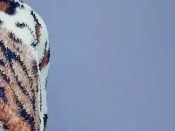 Aria_joness_  live sex cam