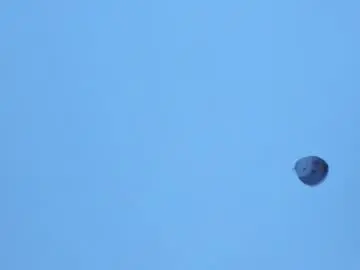 Kiarabigboobs_  live sex cam