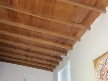 Nicollbashel  live sex cam