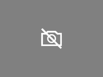 Alex155831  live sex cam
