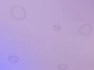 Gallilea_marquez_  live sex cam