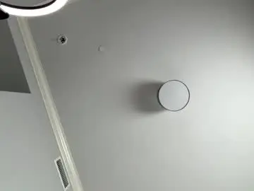 Misomouse  live sex cam