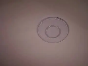 Gwennielove  live sex cam