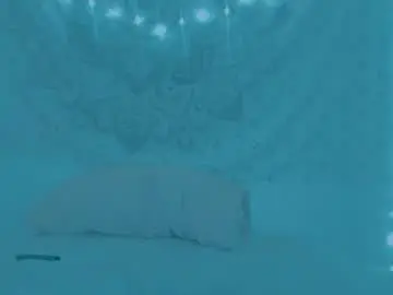 Tessatempest  live sex cam