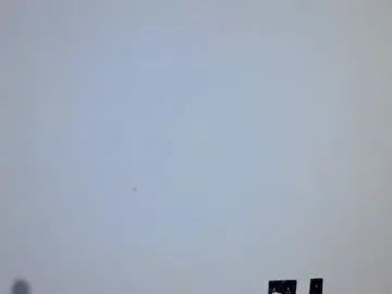 _petitekitty  live sex cam