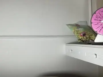 Itshelltai  live sex cam