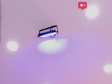 Dayan_ken  live sex cam