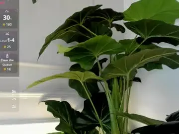 Zoebm_  live sex cam