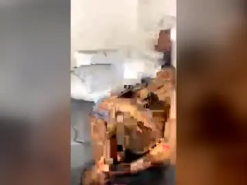 Asmajk  live sex cam