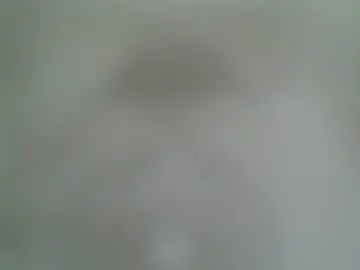 Chubbycutie420  live sex cam