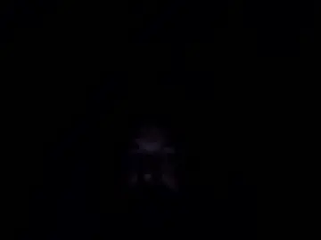 Lokodecoches  live sex cam