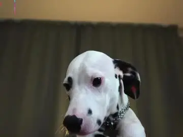 Colettaelsensohn  live sex cam