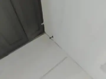 Coralhtx  live sex cam