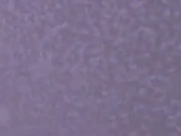 Kendall_evanss_  live sex cam