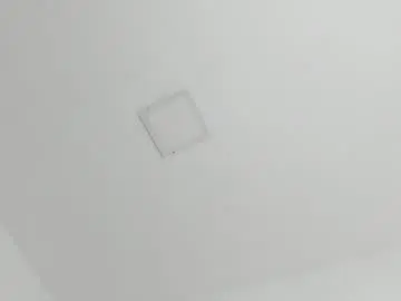 Victoriawillss  live sex cam