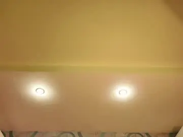 Haselsteel  live sex cam