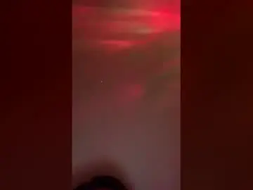 Spicygirlxo  live sex cam