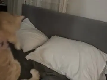 Bellafae  live sex cam